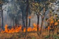 Ein Buschbrand im Northern Territory in Australien.